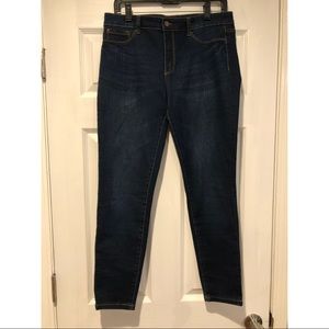 Jone New York Essex Skinny Jeans